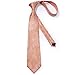 DiBanGu Paisley Ties for Men Silk Necktie and Pocket Square Cufflinks Tie Clip Set Woven Classic Mens Tie for Wedding Party, Coral Orange