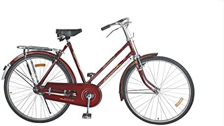 sports roadster bicycle