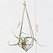 NCYP Rustic Style Freestanding Hanging Metal Tillandsia Air Plant Rack Bronze Color 10 inches Height Quadrilateral Pyramid Shape Geometric No Plants