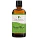 Plant Therapy Nature Shield Essential Oil Synergy | Natural Insect Repellent Blend | 100% Pure, Undiluted, Natural Aromatherapy, Therapeutic Grade | 100 milliliter (3.3 ounce) primary