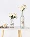 PARTY JOY Vintage Artificial Silk Rose Flower Bouquet Wedding Party Home Decor,Park of 10 (Champagne, 10Pcs)