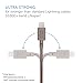 Native Union BELT Cable XL - 10ft Ultra-Strong Reinforced [MFi Certified] Durable Lightning to USB Charging Cable with Leather Strap compatible with iPhone/iPad (Taupe)