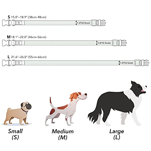Candofly Rechargeable Light Up Dog Collars - Nylon Breathable LED Dog Collar Double Lights Glowing Pet Collars Perfect for Night Walking Keep Your Dogs & Cats Be Safe (Green, Small)
