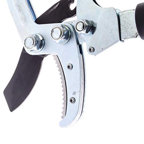 SIDCO Amboss Astschere Baumschere Strauchschere Gartenschere Astschneider Teleskop – Bild 4