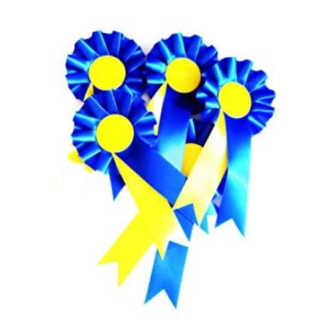 10 X Mixed Blank Rosettes Quality 1 Tier Rosettes Celebration Sport Prizes Competitions Funerals School Awards Sporting Awards (Blue and Yellow 10pcs)