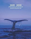 2019 - 2020 | 18 Month Weekly & Monthly Planner July 2019 to December 2020: Whale Fin Ocean Nature Vol. 34 Monthly Calendar with U.S./UK/ ... Holidays- Calendar in Review/Notes 8 x 10 in. by Dazzle Book Press