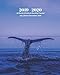 2019 - 2020 | 18 Month Weekly & Monthly Planner July 2019 to December 2020: Whale Fin Ocean Nature Vol. 34 Monthly Calendar with U.S./UK/ ... Holidays- Calendar in Review/Notes 8 x 10 in. by Dazzle Book Press
