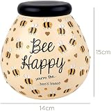Pot Of Dreams Box Bumble Bee Money Pot Ceramic Piggy Bank Home Decor view 2