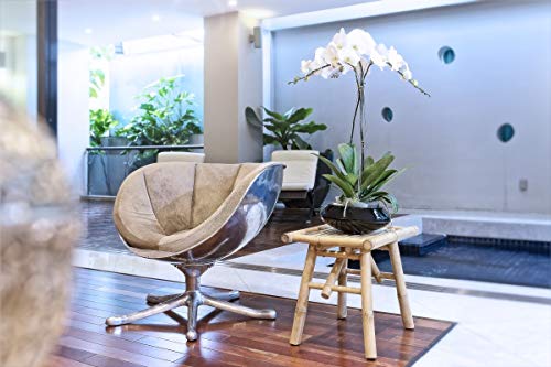 Bamboo Side Table - Stool - Plant Stand - Accent Table - Indoor/Outdoor Use