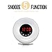 Bioxo Sunrise Simulation Alarm Clock, 5 Colors Atmosphere Lamp Wake-up Light, 3-Brightness Bedside Light, Touch Control Morning Alarm Light with Nature Sounds & FM Radio White
