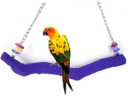 parrot swing