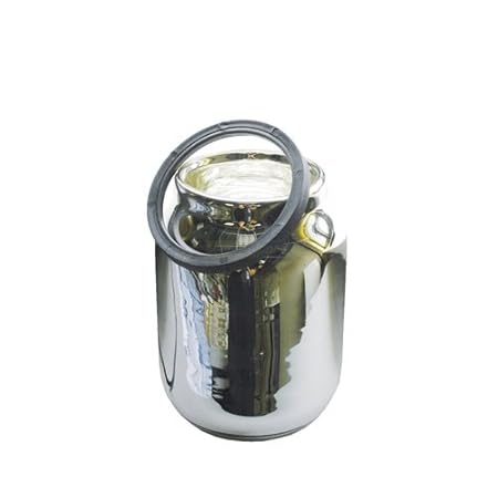 Glaskörper zu Thermokanne gerade Siemens TC91100 Glaskolben