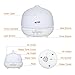 Housmile Essential Oil Diffuser, Ultrasonic Cool Mist Humidifier with Color LED Mood Lights Changed & Auto Shut-off Safety Guarantee, Frosted Glass Upgrade Version, 300ml