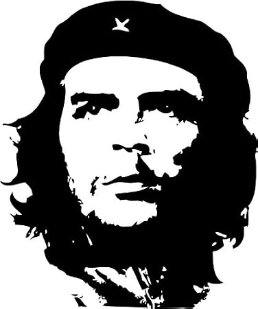 417YHqVQBYL._SY450_.jpg