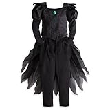 Disney Store Deluxe Wicked Witch of the West Costume Wizard of Oz Great Powerful
