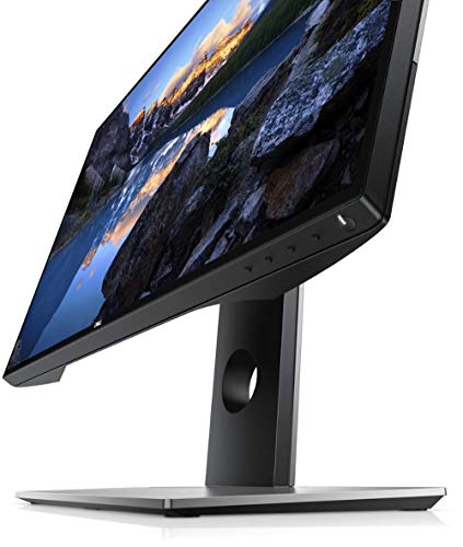 5 Dell+Screen+LED+Lit+Monitor+P2419H