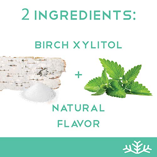 Wintergreen Xylitol Candy Chips SNØ 1LB Bag Handcrafted w/ ONLY 2