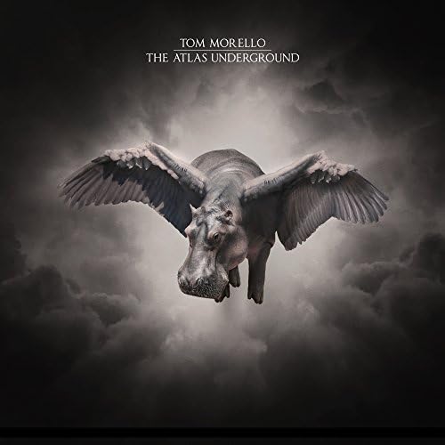DJ Shadow - The Mountain Will Fall - Amazon.com Music