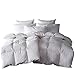 SNOWMAN White Goose Down & Feather Blend Comforter Queen Size 100% Cotton Cover Down Proof Baffle Boxes Construction,Soft and Warm