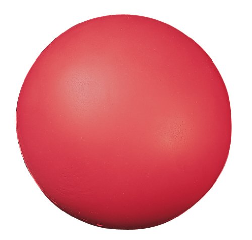 Champion Sports 7 Inch Coated High Density Foam Ball