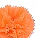 PAPER JAZZ Day of Dead Dia DE Los Muertos Marigold Pompom Flower Offer Rack Swirl Glitter mask Party Supplies Pack (Marigold)