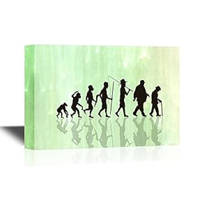 Human Evoluti Human Evolution Process