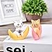 Neko 5pcs Miniature Cats in Boxes & Crescent Moon Figurines - Micro Garden Landscape Ornament Decorations – Cute Lucky Cat DIY Figures for Crafts and Home Decor