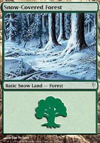 Magic: the Gathering - Snow-Covered Forest - Coldsnap