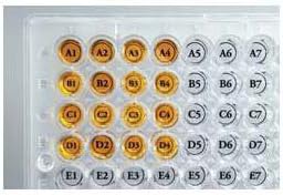 Diversified Biotech WEST-1000 Well Orienter Sticker for Microplate, 96 Well (Pack of 50)