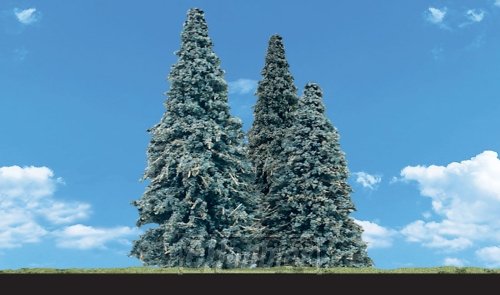 Classics Tree, Blue Needle 2.5-4" (5)