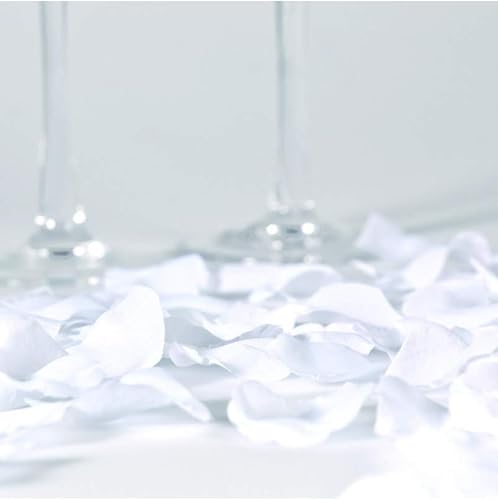 Download Pétales de Roses Blanches PDF