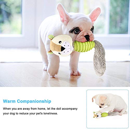 Best Toys for Dogs Top 25 Reviews to Choose From Hellow dog