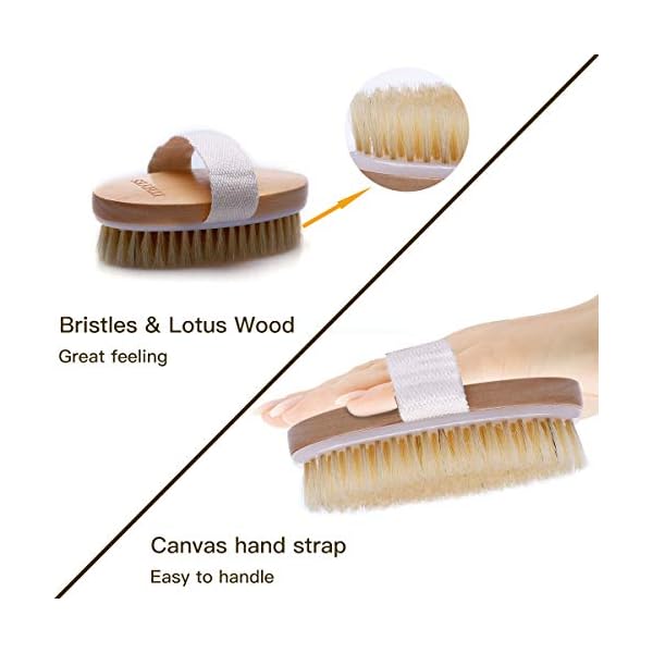 Ithyes Dry Brushing Body Brush Exfoliating Brush Natural Bristle bath Brush for Remove Dead Skin Toxins Cellulite…