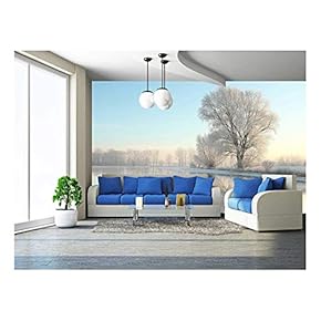 Picturesque Winter Landscape of Frozen Trees Lit by The Rising Sun - Removable Wall Mural | Self-Adhesive Large Wallpaper - 66x96 inches
