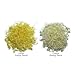 EcoJeannie ZT0002 Professional Hand Held Cheese Grater Lemon Zester for Fine Shavings, Heavy Duty, Commercial Grade, Non-Slip Easy-Grip Handle, High Quality Stainless Steel with Protective Cover