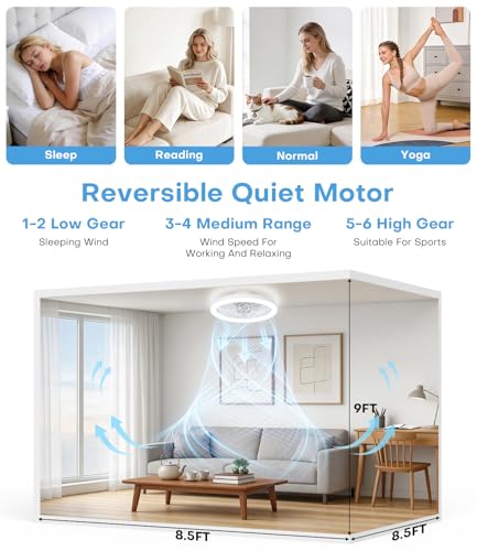 Nalezuns Ceiling Fan with Light, 40 cm Ceiling Fan, Quiet Remote Control, 3 Colour Temperatures and 6 Speeds, Silent Ceiling Fan for Living Room, Bedroom, Kitchen