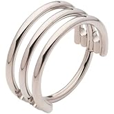 Pierced Owl 16GA ASTM F-136 Implant Grade Titanium Triple Hoop Hinged Segment Clicker Ring