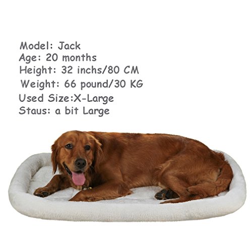 QIAOQI Dog Bed Pet Crates Padded Bolster,Soft Dogs & Cats Kennel and