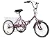 Slsy Adult Folding Tricycles, 7 Speed Folding Adult Trikes, 20 Inch 3 Wheel Bikes with Low Step-Through, Foldable Tricycle with Basket for Adults, Women, Men, Seniors.thumb 2