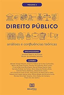 Livro Direito Público: análises e confluências teóricas: Volume 2