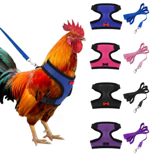 Aulock Adjustable Chicken Harness