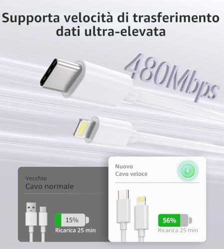 Caricatore USB C 25W con Cavo, Caricabatterie Type-C, Presa USB C Compatibile con i-Phone 17/17 Air/17 Pro Max‌/16/15/14/13/12/Plus, i-Pad, Samsung Galaxy S25/S24/S23/S22/Note20(2 Pezzi+cavo)