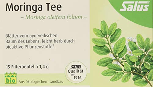 Salus - Moringa Tee - 1x 15 Filterbeutel (21 g) - Kräutertee - vollmundig herber Geschmack durch bioaktive Pflanzenstoffe a) - bio