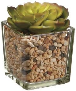 4" Echeveria Artificial Plan