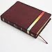 NIV Rainbow Study Bible, Maroon LeatherTouch, Indexed