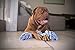 Blue's Choice Rope Toy for Dogs, Durable Chew Toy for Dogs, Good as a Puppy Toy for Puppy Teething for Aggressive Chewers, Indestructible Toy for Large and Medium Dog Breeds, Blue, Large