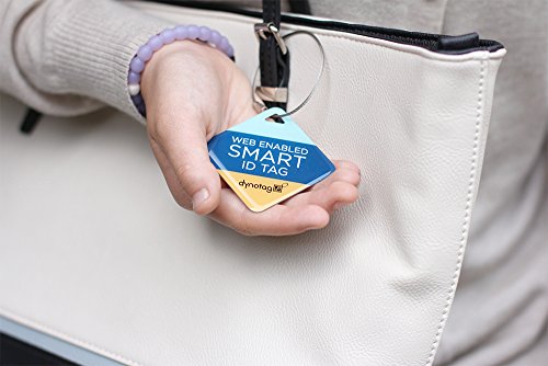 Dynotag Web Enabled Smart ID Tag, Delue Steel tag with Braided Steel Loop, with DynoIQ & Lifetime Recovery Service. Diamond (Stripes)