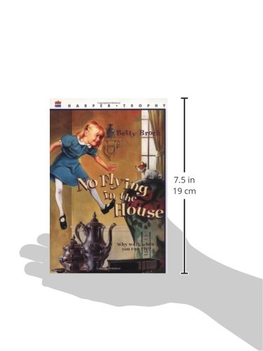 no flying in the house book