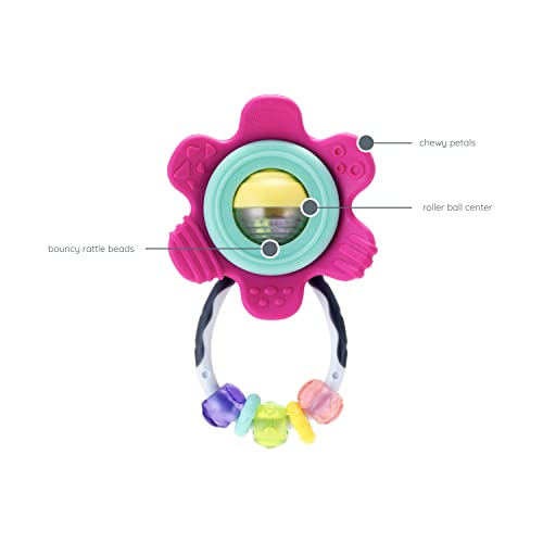Infantino Spin Teethe Gummy Pink Flower Rattle Easy to Grab, Chewy  Rings, Multi-Texutre Petals, Roller Bal