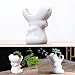 Cute Animal Succulent Planter Pot Ceramic Cactus Planter Pot Flower Pot Plant Pot Container Planter Bonsai Pots with A Hole Perfect Gift Idea (Cartoon Hippo )